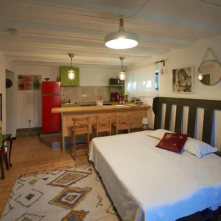 Chalet&Spa Maestrul si Margareta-3